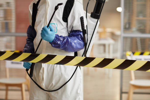 Professional Sewage Cleanup technician working in Thornton, CO